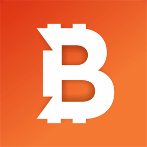 Bitci Logo