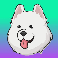 Samoyedcoin icon